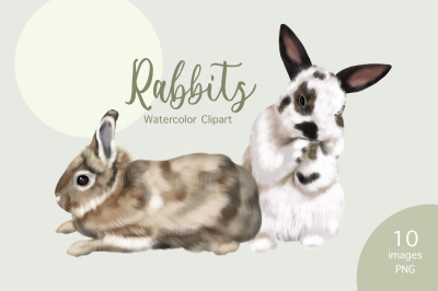 Watercolor Rabbit Clipart, Bunny illustration Download