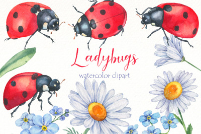 Watercolor ladybug clipart bundle | cute insect png | animal png