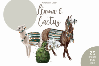 Watercolor LLama &amp; Cactus clipart
