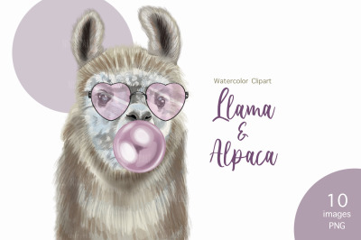 Watercolor LLama &amp; Alpaca Clipart