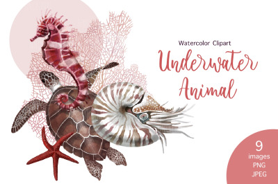 Watercolor Underwater Animals clipart set
