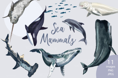 Watercolor Whales Clipart, Sperm Whale, Narwhal, Dolphins