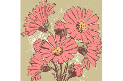 Attractively arranged bunch of flowers. Drawn Chrysanthemum flowers ar