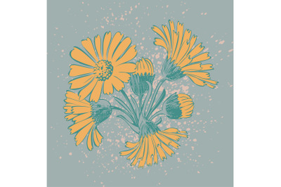 Attractively arranged bunch of flowers. Drawn Chrysanthemum flowers ar