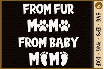 From Fur Mama To Baby Mama Pregnancy