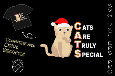 Cats Are Truly Special Christmas Cat