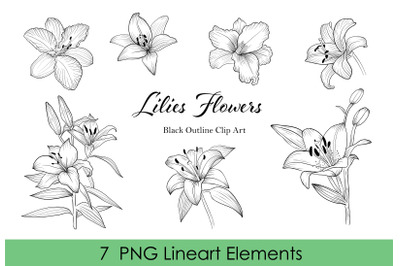 Lilies flowers lineart clipart. Black outline Individual clipart PNG.