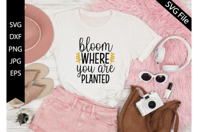 bloom where you are planted