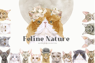 Feline Nature. Cat Breed Portrait Creator Watercolor clipart