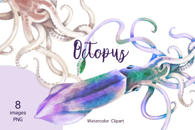 Watercolor Squid Clipart, Squid Download