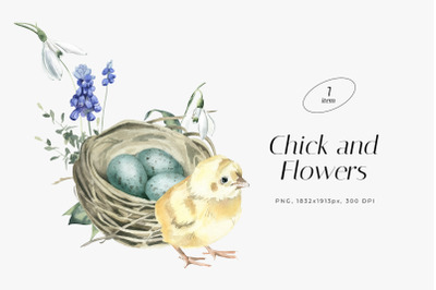 Watercolor Illustration with Chick, Nest and Spring Flowers