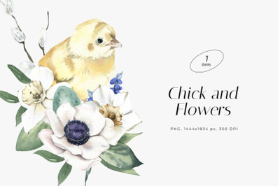 Watercolor Illustration with Chick, Daffodil, and Anemone