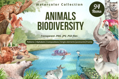 Animals Biodiversity Wildlife