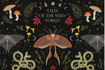 Tales of the wild forest