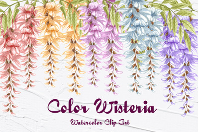 Wisteria Watercolor Clipart