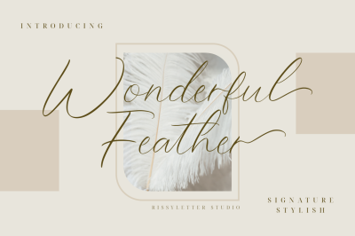 Wonderful Feather | Stylish Signature Font