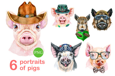 Cute watercolor pigs. Part 8