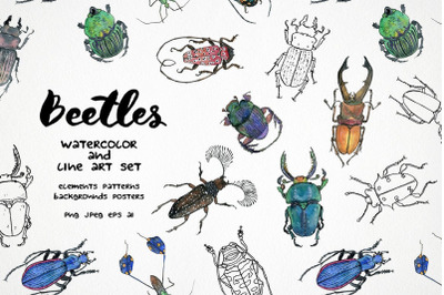 Watercolor bug clipart, insect illustration, beetle seamless pattern