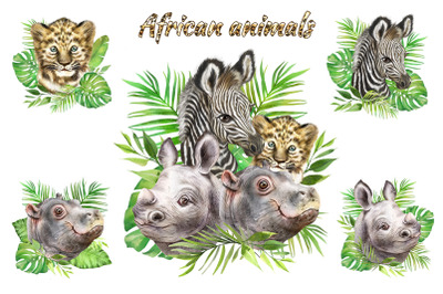 African animals watercolor set, jaguar, hippo, rhino, zebra