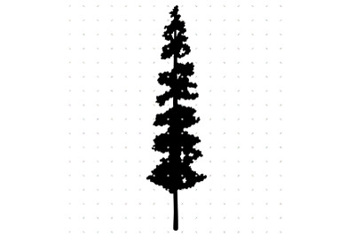 Tall Pine Tree SVG