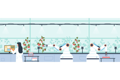 Robotic watering farm plants. Automatic irrigation of greenhouse tomat