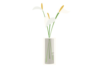 White flowers in vase. Peace lily green branches