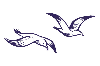 Flying sea gulls. Sketch style blue lines birds in air