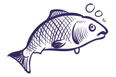 Fish in water. Sea animal in sketch style