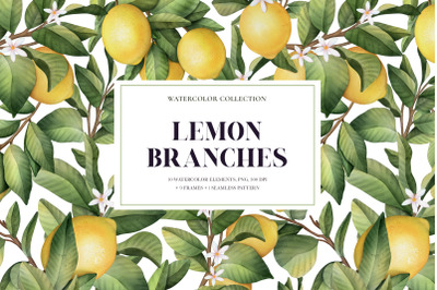 Lemon Branches. Watercolor collection. Clipart, Frames and Pattern.