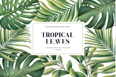 Tropical leaves. Watercolor collection. Clipart and frames