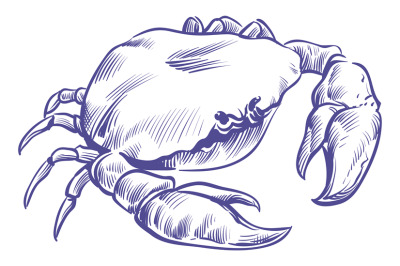 Crab sketch. Sea shell animal with big claws