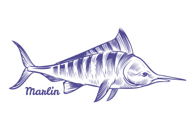 Marlin icon. Swordfish in hand drawn style. Sailfish sketch