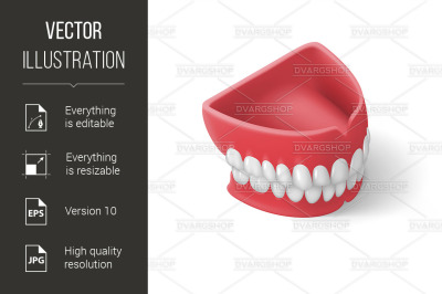 Dental Prosthesis Icon