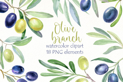 Watercolor olive clipart bundle | greenery foliage png.