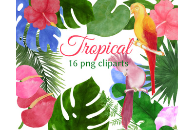 Watercolor Tropical Clipart. Flowers, leaves, parrots.