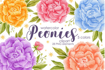 Watercolor peonies clipart
