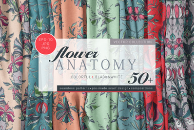 Flower Anatomy Vector Collection