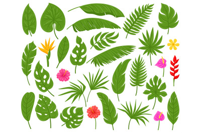 Cartoon tropical palm, monstera, plumeria and banana leaves. Exotic pl