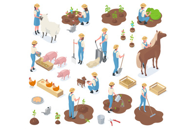 Isometric garden agriculture elements, farmers and domestic animals. A