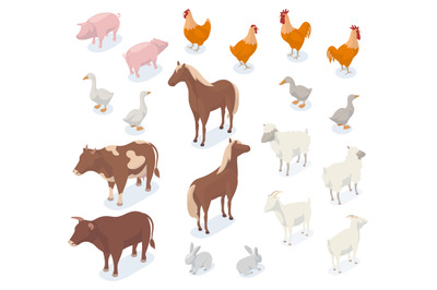 Isometric farm animals, 3d pig, cow, chicken, goat and horse. Agricult