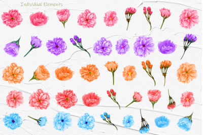 Sakura Flowers Watercolor Clipart