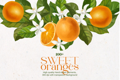 Sweet oranges, citrus watercolor set