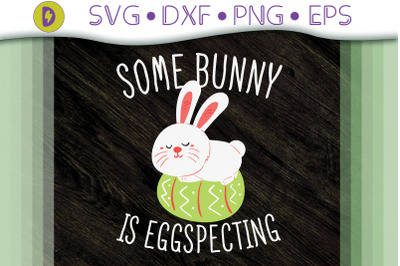 Funny Design Somebunny Is Eggspecting