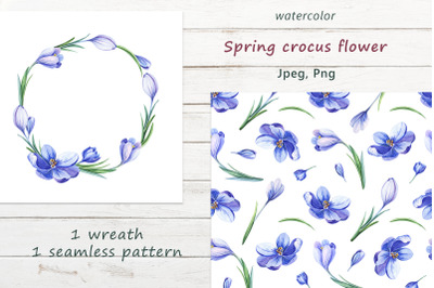 Watercolor crocus flower