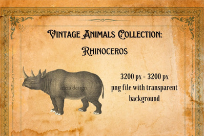 Vintage Rhinoceros Illustration