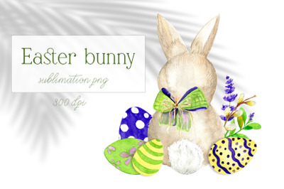 Easter Bunny sublimation png Watercolor Spring illustration