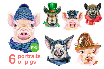 Cute watercolor pigs. Part 9