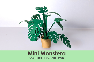 Mini Monstera Template | Rolled Papercraft DIY