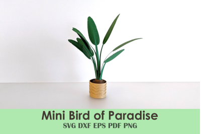 Bird of Paradise Mini Plant Template