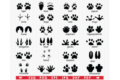 SVG Traces Wild Animals, Black silhouette, Digital clipart
